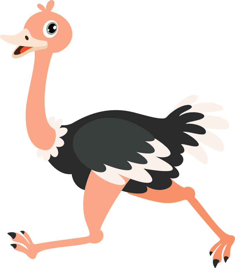 Running bird